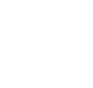 Black Lion