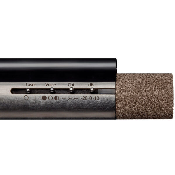 Aston Starlight detalle primer plano