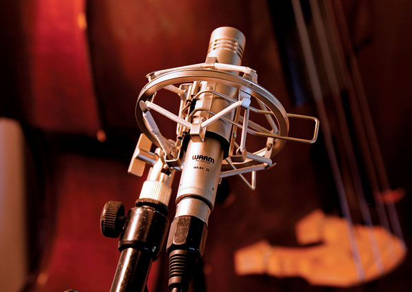 Warm Audio WA84 vista diagonal desde abajo