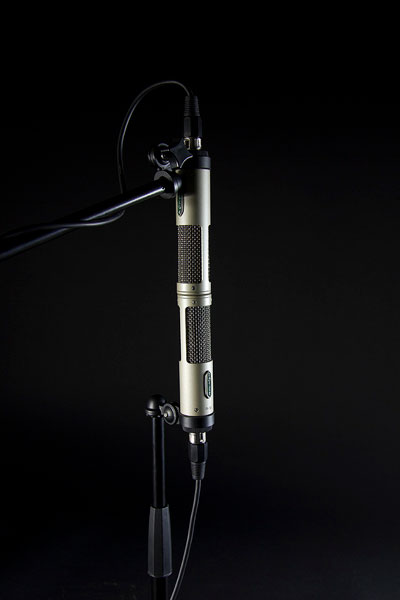 Par de Royer R10