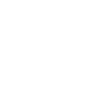 IGS Audio